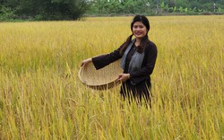 Chị đẹp Long An mang loại gạo ngon nhất thế giới về quê hương, biến cám gạo thành loại thực phẩm đắt hàng