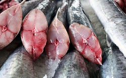 Loại cá phổ biến ở chợ Việt, giàu Omega-3 như cá hồi nhưng lại không sợ nhiễm thủy ngân