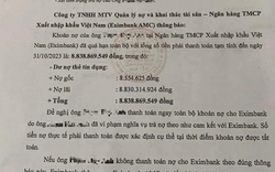 Vụ nợ 8,5 triệu tính lãi thành 8,8 tỷ đồng: "Ngã ngửa" với con số lãi suất, không cao như nhiều người nghĩ?