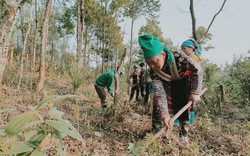 Lai Châu tổ chức gắn biển đường hoa lê ở xã có địa điểm ngắm bình minh đẹp nhất Đông Nam Á