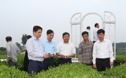 T.Ư Hội Nông dân Việt Nam ban hành công văn tăng cường và nâng cao hiệu quả hoạt động Quỹ Hỗ trợ nông dân