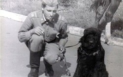 Clip: Giống chó quý hiếm được lai từ 20 loại, chuyên thực hiện những nhiệm vụ đặc biệt ở Nga