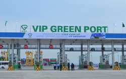 Cảng Xanh Vip (VGR) chia cổ tức năm 2023 bằng tiền, tỷ lệ 70%