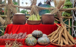 Thành phố Sơn La đa dạng các sản phẩm nông nghiệp 
