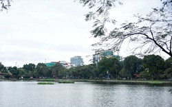 Phó Chủ tịch Hội Quy hoạch Phát triển Đô thị Việt Nam: "Cần xem xét quy mô 5 quảng trường cho thích hợp hơn"