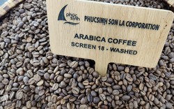 Giá cà phê tăng điên đảo, giao dịch "hỗn loạn", nhà xuất khẩu tiết lộ bị "lỗ khủng"