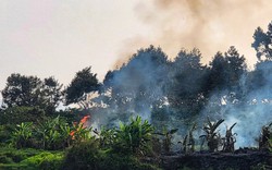 Đốt cỏ trong vườn, một gia đình ở Bảo Lộc, Lâm Đồng gây cháy sang cả vườn cà phê, dâu tằm của người dân