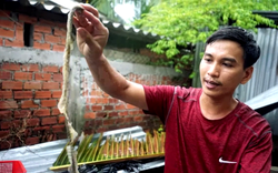 Trai làng Tiền Giang nuôi con đặc sản không chân, chăm nhàn tênh, đút túi 400 triệu/năm 