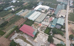 Sẽ cưỡng chế nhiều công trình vi phạm trong vụ “thần tốc” dựng nhà xưởng trái phép trên đất nông nghiệp tại Hà Nội
