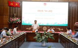 Điện Biên: Triển khai thực hiện Chương trình mục tiêu Quốc gia năm 2024

