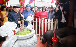 Một thôn của tỉnh Bắc Giang, dân thi nhau mua lợn đen về chăm, đến ngày giờ cho tắm rượu gừng mang đi cúng tế