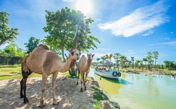 Sự sống hồi sinh ở River Safari Nam Hội An