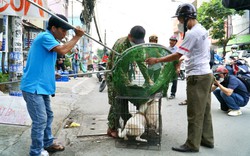 TP.HCM: Nuôi chó, mèo phải đăng ký, hạn chế nuôi loài chó to, hung dữ