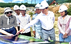Phó Chủ tịch tỉnh Quảng Ngãi chỉ đạo gỡ khó cho dự án thuỷ điện