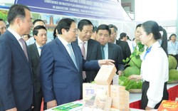 Thủ tướng Phạm Minh Chính yêu cầu Vĩnh Long tập trung các giải pháp phát triển kinh tế nông nghiệp