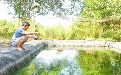 Một ông nông dân Kiên Giang nuôi thành công giống cá chình suối Phú Quốc độc lạ