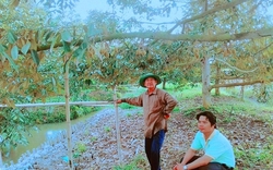 Bẻ trái đặc sản trong "vườn cây tiền tỷ", một tỷ phú nông nông dân Hậu Giang doanh thu gần 5 tỷ/năm