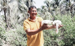 "Bị" đàn chim hoang dã 10.000 con tự dưng "độc chiếm" 3ha đất, sao anh nông dân Kiên Giang vui hẳn lên?