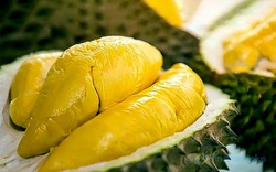 Giá sầu riêng hôm nay 25/3: Giữ vững thị trường Trung Quốc cho trái sầu riêng Việt Nam