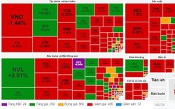 Chứng khoán lại rực lửa phiên đầu tuần, VN-Index mất gần 14 điểm