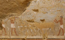 Bí ẩn mộ đôi "mê cung" 4.300 tuổi của nữ tư tế Ai Cập