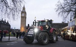 Clip: Nông dân Anh biểu tình, lái máy kéo tới Quốc hội 