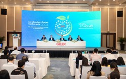 ĐHĐCĐ 2024 Tập đoàn GELEX diễn ra thành công