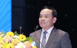 Phó Thủ tướng: "Lãnh đạo và người dân Bình Định rất khát khao phát triển"
