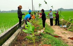 Hội Nông dân Bắc Ninh nhân rộng mô hình "Hàng cây nông dân"