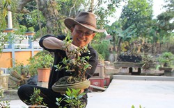 Có 1 mẫu vườn trồng đủ thứ cây cảnh, có cây bán là thu cây vàng, ông Tuyên ở Thái Bình thu 300 triệu/năm