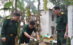 Nhiều loài cây đột nhiên nở ít hoa ảnh hưởng đến 'đội quân' lấy mật, nông dân nuôi ong ở Hải Dương thất thu