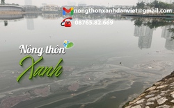 HỘP THƯ NÔNG THÔN XANH: Cá chết nổi trắng mặt hồ trong công viên "Độc nhất Đông Nam Á" 