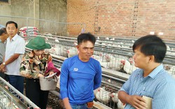 Điều khiển đàn gà khổng lồ đẻ 2.000 quả trứng mỗi ngày, anh nông dân Bình Phước thu 500 triệu đồng/năm