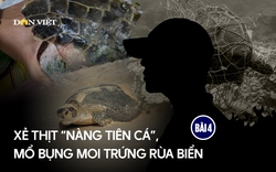 Xẻ thịt "nàng tiên cá", mổ bụng moi trứng rùa biển (Bài 4): Đối thoại với một "sát thủ rùa biển" khét tiếng