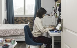 Lao động trẻ Trung Quốc thích làm việc tại nhà nhưng "sợ" một điều sau