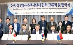 Các nước châu Á chia sẻ kinh nghiệm, hợp tác chăn nuôi lợn an toàn