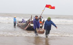 Dân biển Thanh Hóa khiêng lặc lè các sọt sứa biển đổ lên ô tô, mỗi thuyền thu 3-10 triệu/ngày