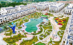 Vinhomes Golden Avenue - “Gà đẻ trứng vàng” cho các nhà đầu tư tại Móng Cái