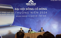 ĐHĐCĐ 2024: Lý do tỷ phú Trần Đình Long đang "rút dần" khỏi Hòa Phát (HPG)