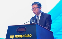 Ông Phạm Thanh Bình được bổ nhiệm làm Thứ trưởng Bộ Ngoại giao để tiến cử làm Đại sứ Việt Nam tại Trung Quốc