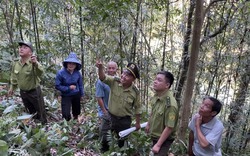 Sơn La: Hạt Kiểm Lâm huyện Quỳnh Nhai làm tốt công tác PCCCR