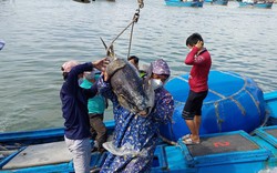 Hành trình gỡ thẻ vàng IUU: Lần đầu tiên truy tố, xét xử vụ án về khai thác thủy sản bất hợp pháp (Bài 3)