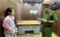 Căn cứ để khởi tố 2 tội danh với cô gái bắt cóc hai cháu bé ở phố đi bộ Nguyễn Huệ