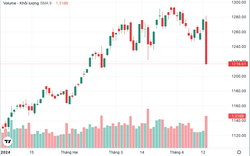 "Sốc": Chứng khoán chứng kiến "cú rơi mạnh" gần 60 điểm, dòng tiền tháo chạy