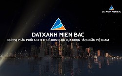 Công ty con của Đất Xanh Group báo lãi giảm 95%