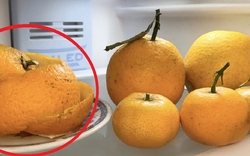 Khi ăn cam đừng vội vứt bỏ vỏ đi cứ để vào tủ lạnh, bất ngờ công dụng "vàng 10"