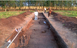 Phát lộ vô số hiện vật cổ xưa khi đào khảo cổ cái gò đất ở một xã vùng Đồng Tháp Mười tại Long An