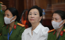 Luật sư: Bà Trương Mỹ Lan có cần bị loại bỏ ra khỏi đời sống xã hội?