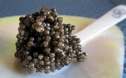 Lý do gì khiến trứng cá Caviar đắt bậc nhất hành tinh?