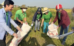 Cán bộ, hội viên nông dân TP.Huế ra quân thu gom bao bì thuốc bảo vệ thực vật trên đồng ruộng